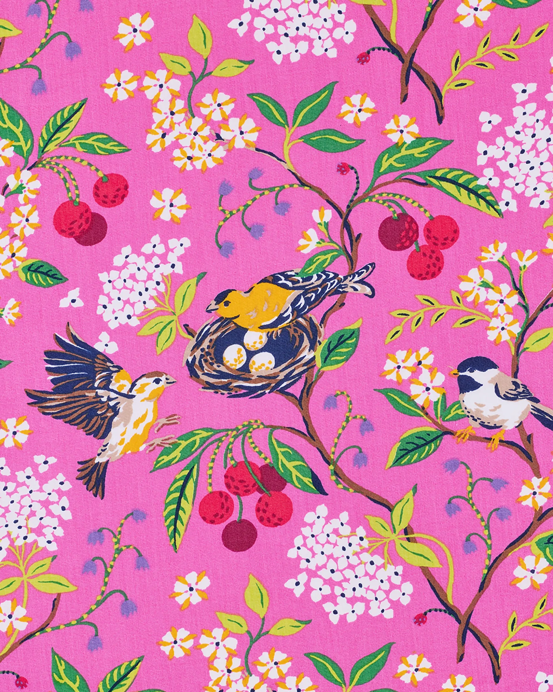 Apron in Bird & Blossom
