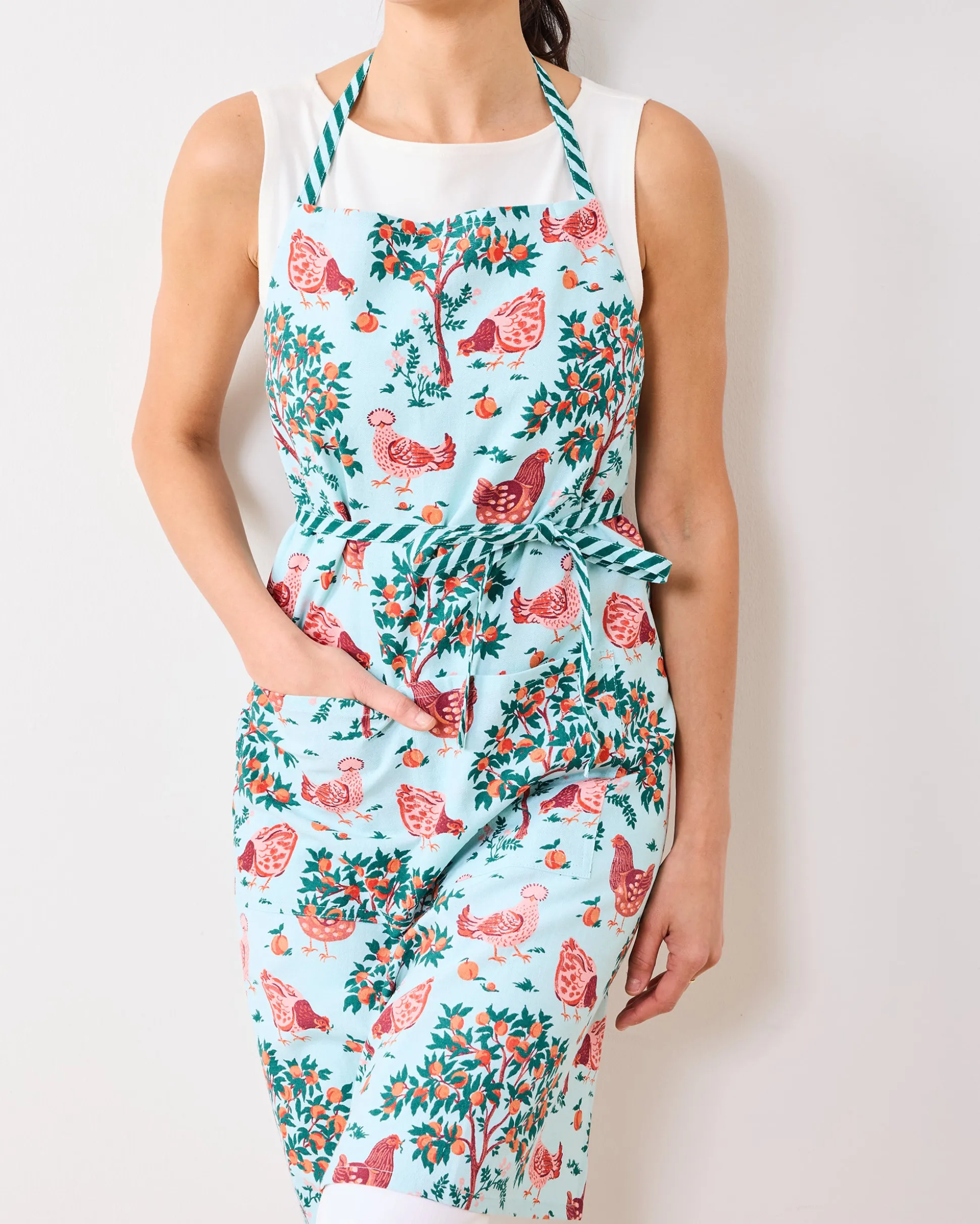 Apron in Hen House