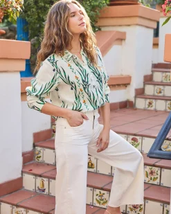 Aster Button Down in Wildflower Vines
