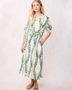 Aster Button Down in Wildflower Vines