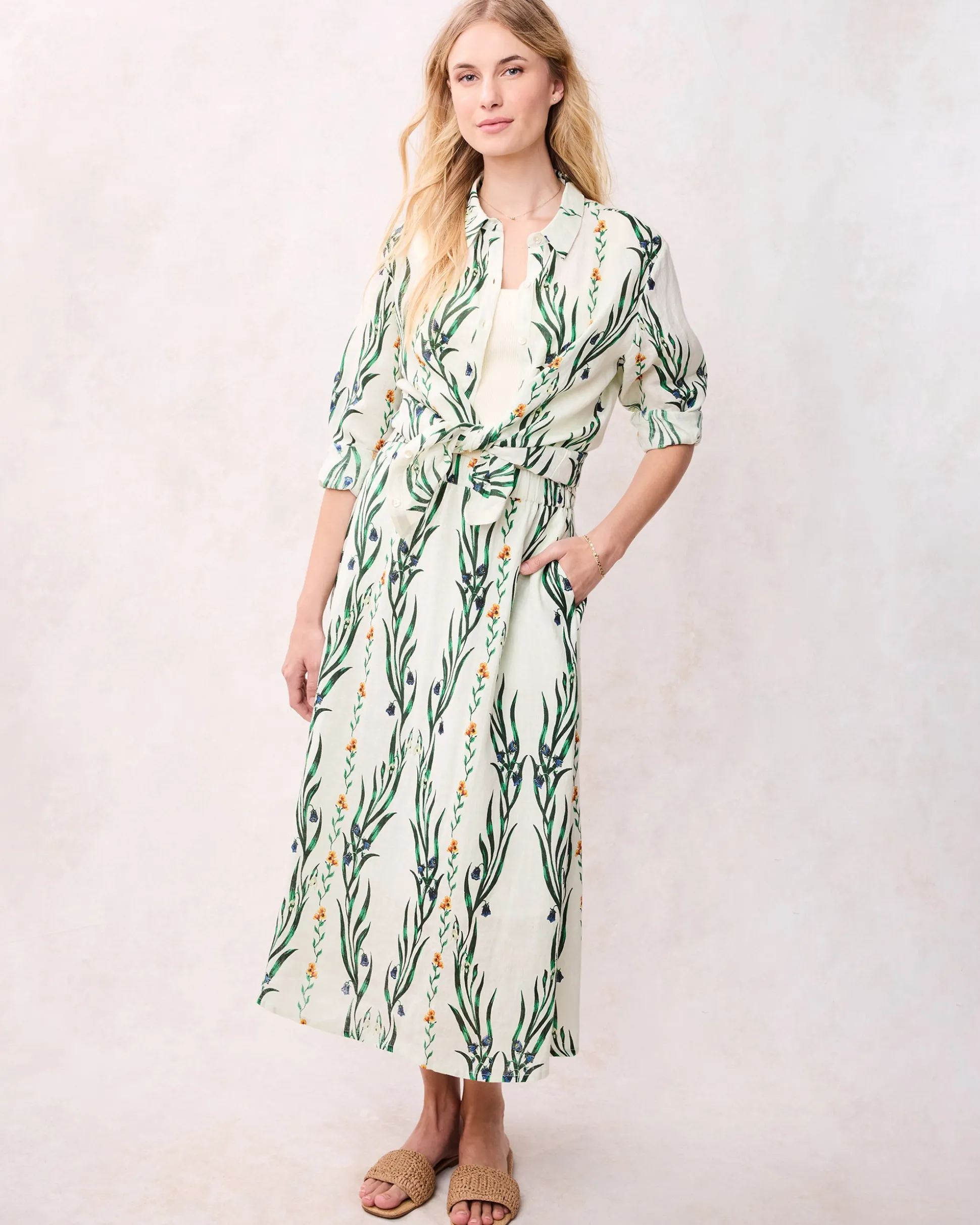 Aster Button Down in Wildflower Vines