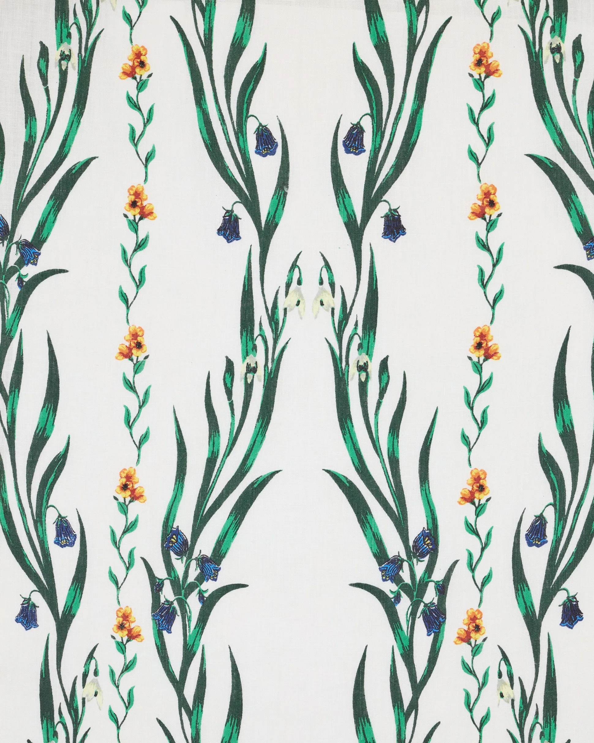 Aster Button Down in Wildflower Vines
