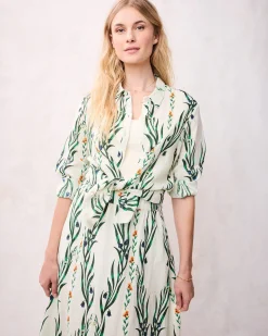 Aster Button Down in Wildflower Vines