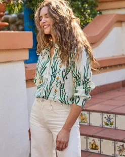 Aster Button Down in Wildflower Vines