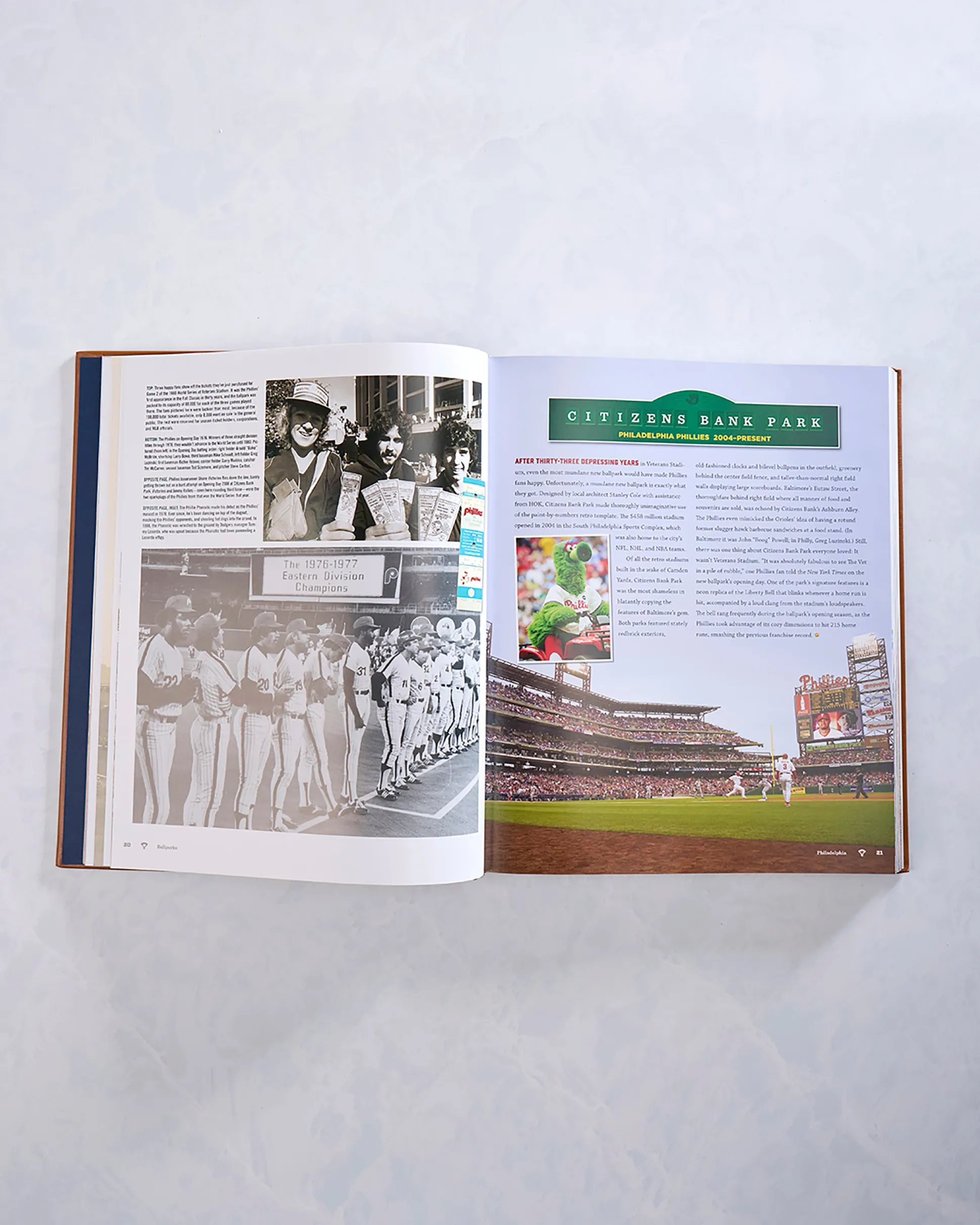 Ballparks Past and Present in Toasted Brown