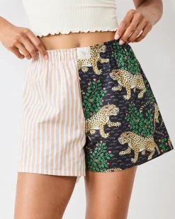 Boyfriend Boxer in Bagheera