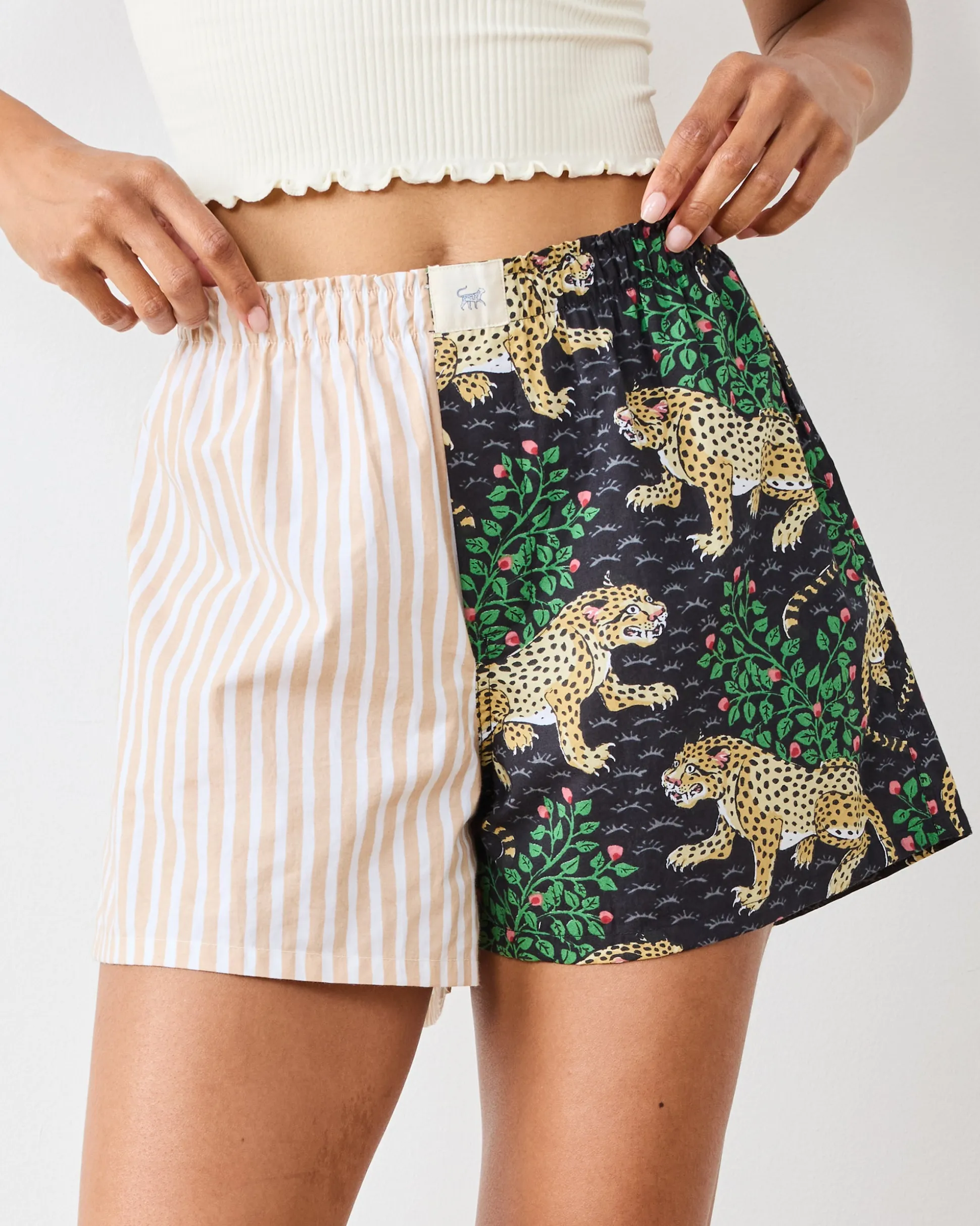 Boyfriend Boxer in Bagheera