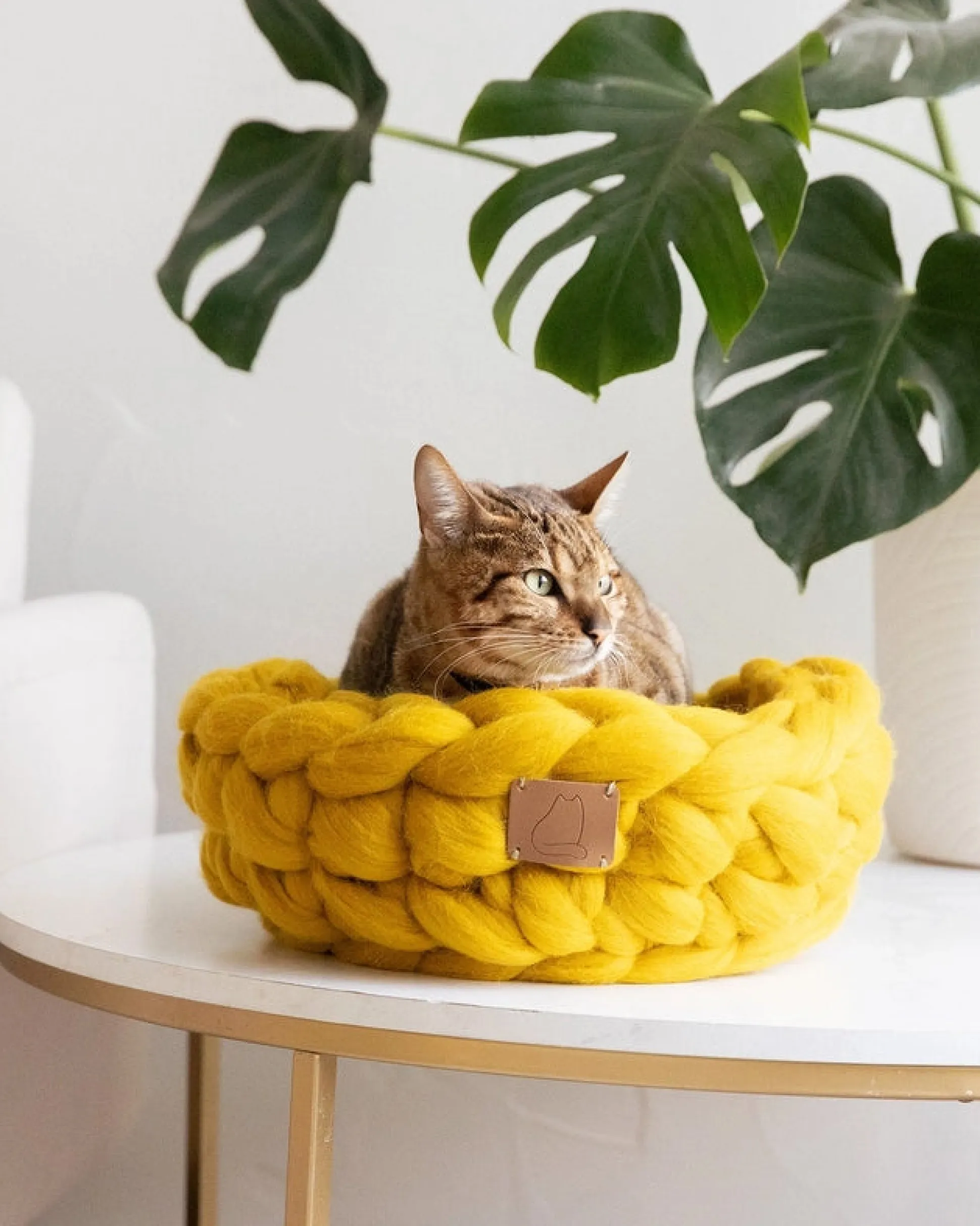 Chunky Knit Wool Cat Bed in Yellow