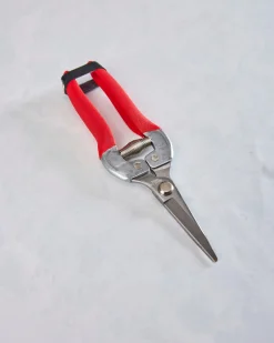 Compact Garden Shears in Garden of Paradise