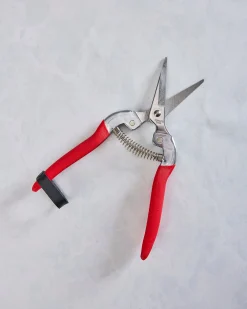 Compact Garden Shears in Garden of Paradise