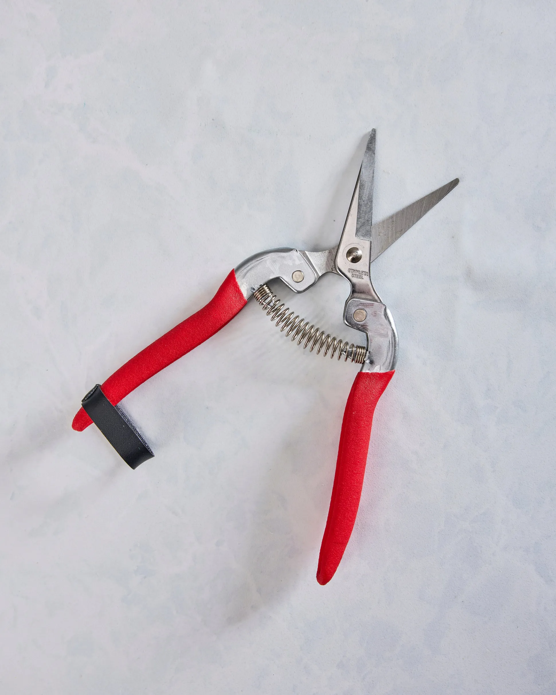 Compact Garden Shears in Garden of Paradise
