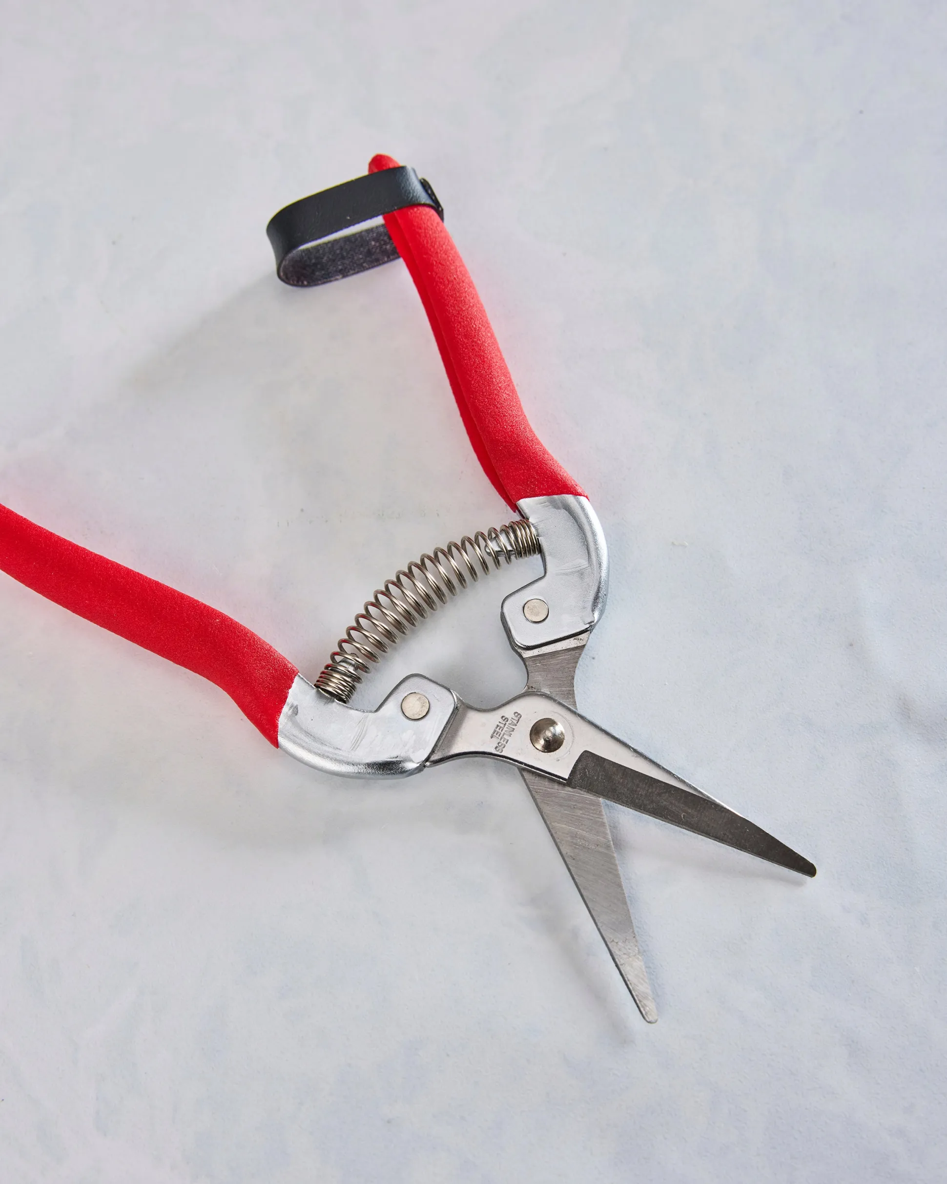 Compact Garden Shears in Garden of Paradise