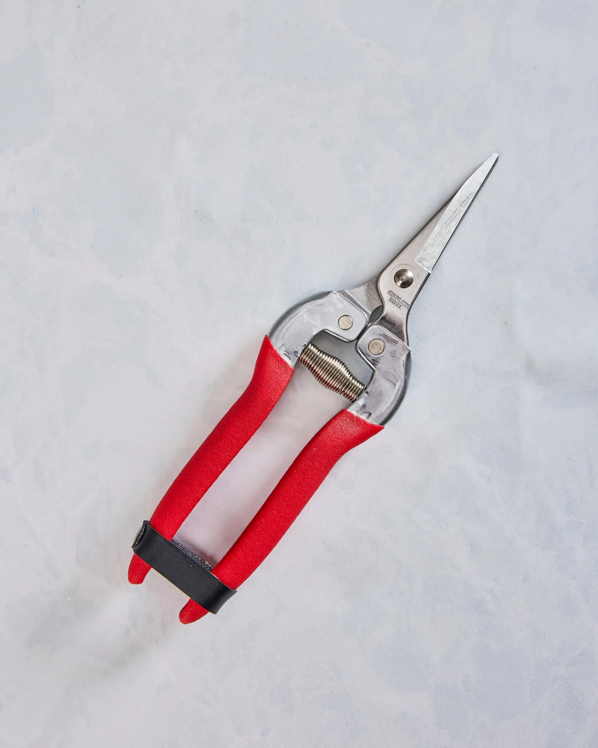 Compact Garden Shears in Garden of Paradise
