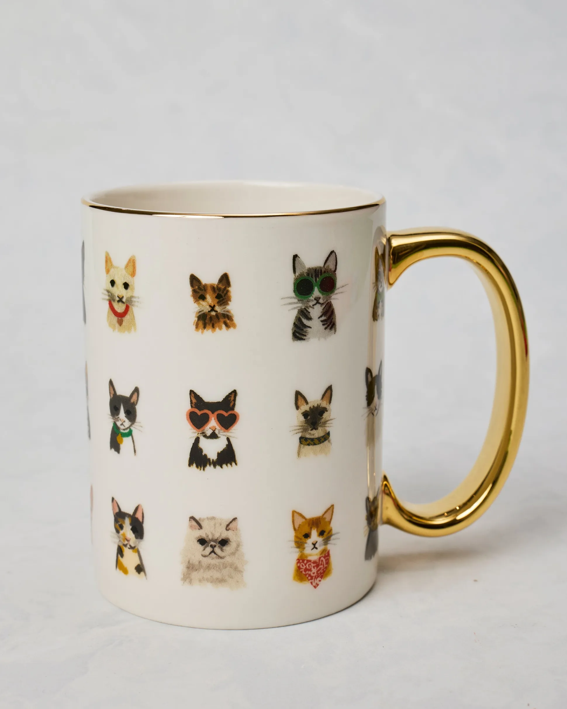 Cool Cats Porcelain Mug in Multi