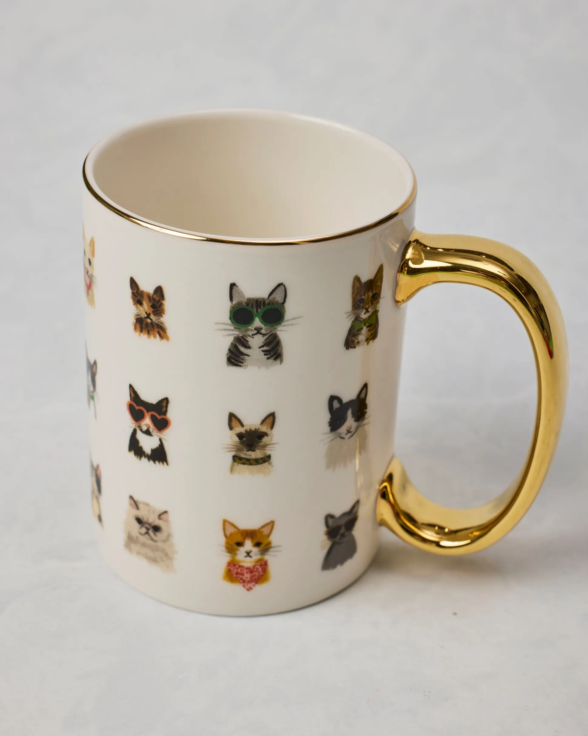 Cool Cats Porcelain Mug in Multi