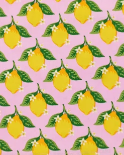 Dinner Napkins Set of 4 in Lemon Twist