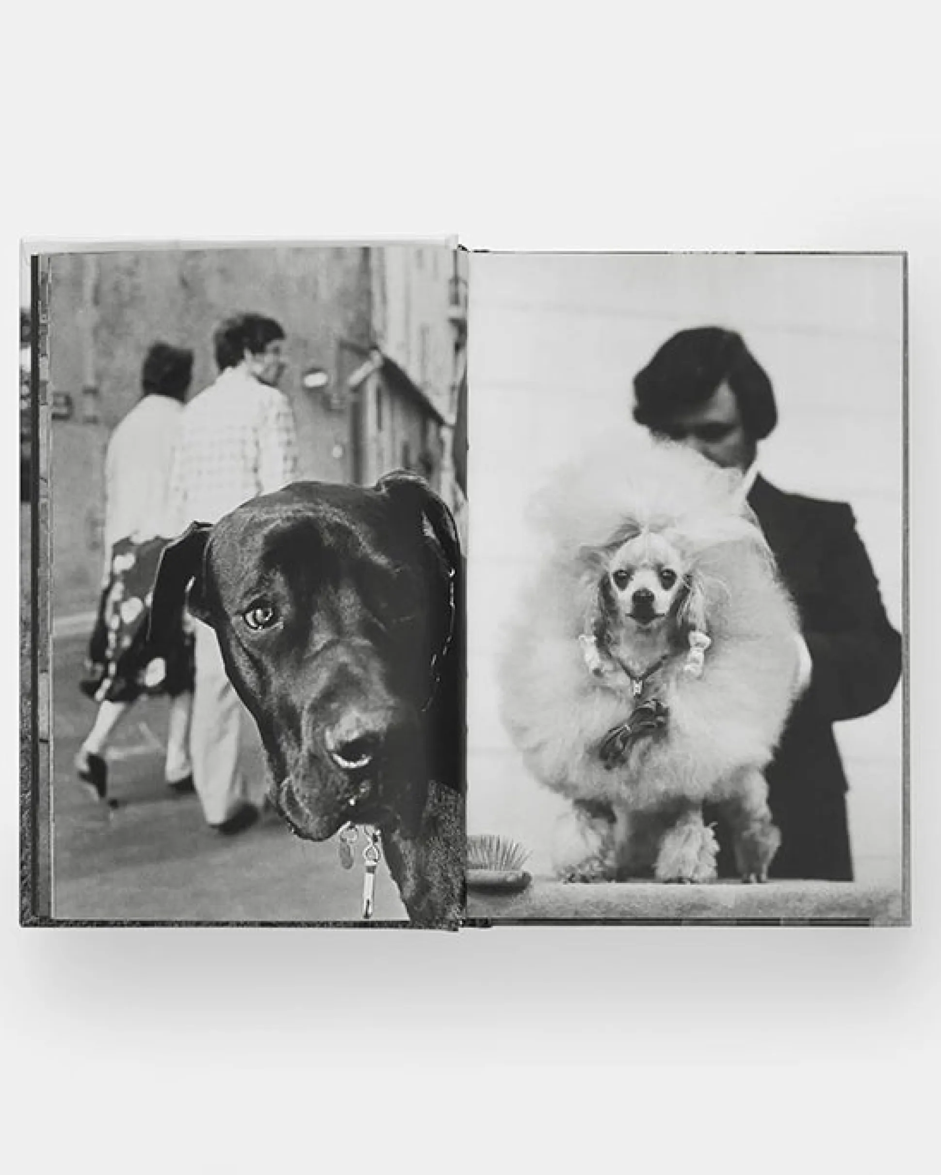 Dogdogs Photography Book in Black