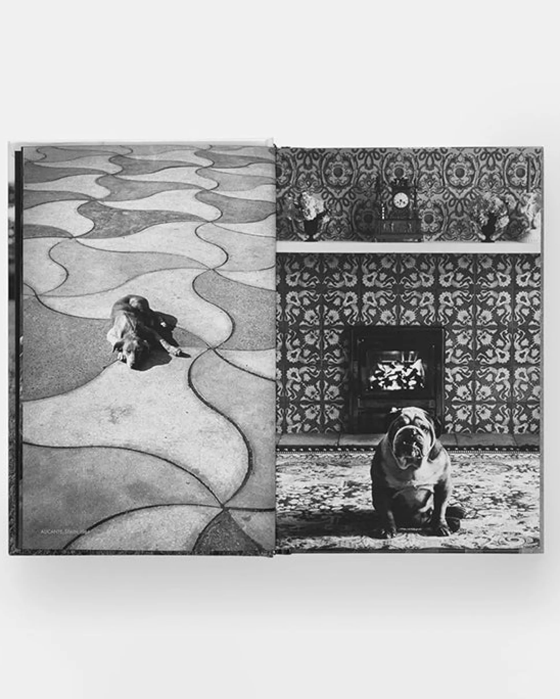 Dogdogs Photography Book in Black