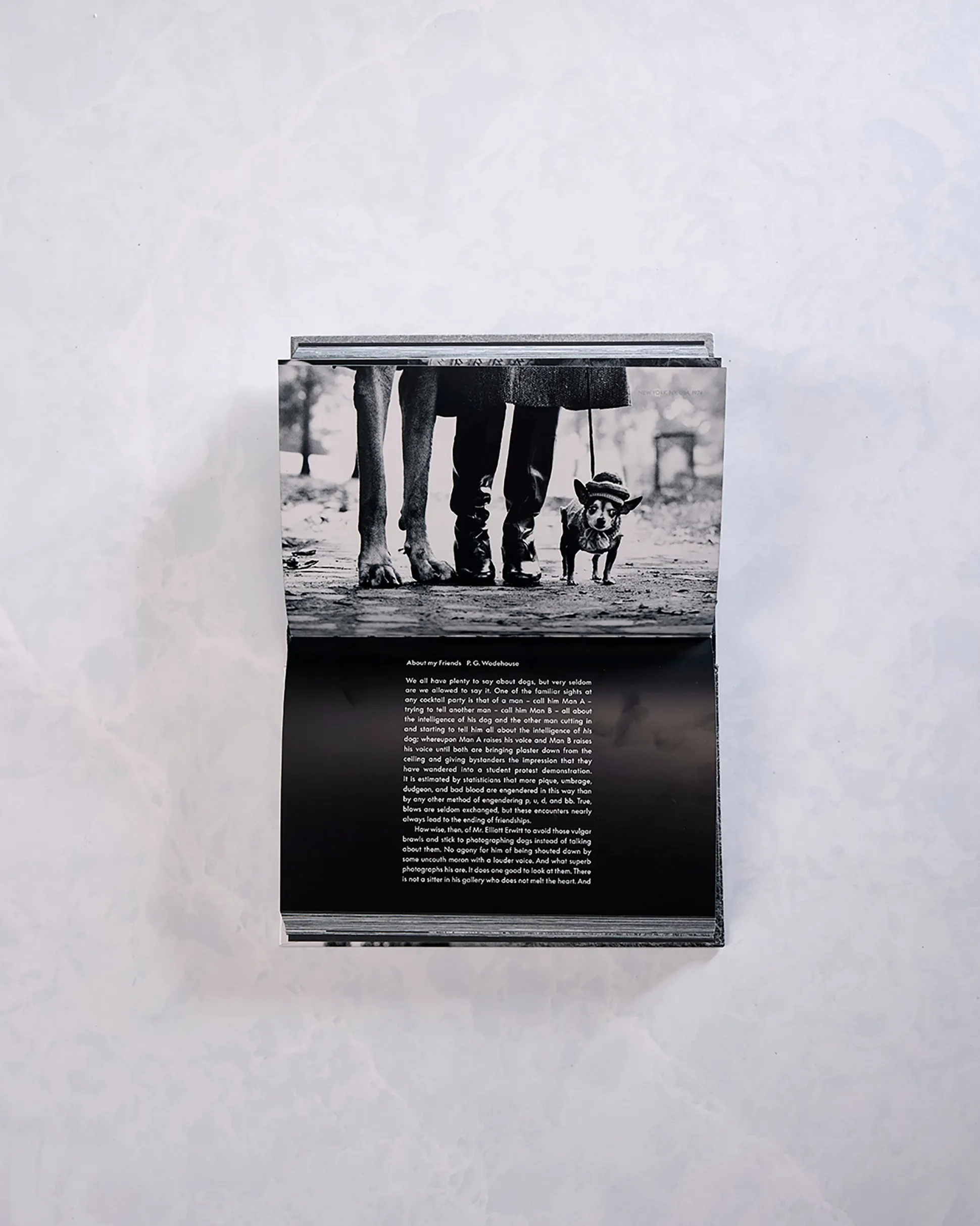 Dogdogs Photography Book in Black