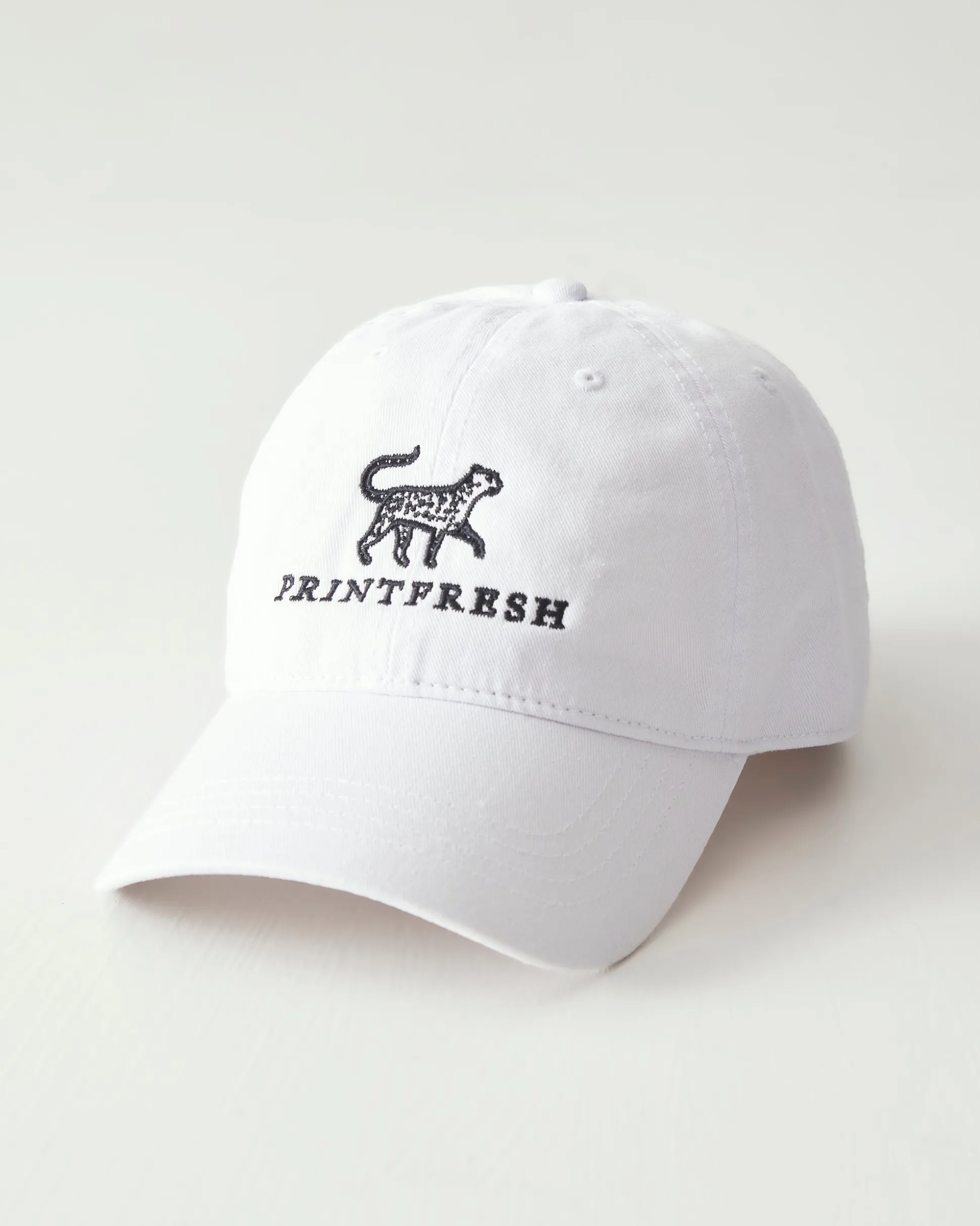 Everyday Cap in Cloud
