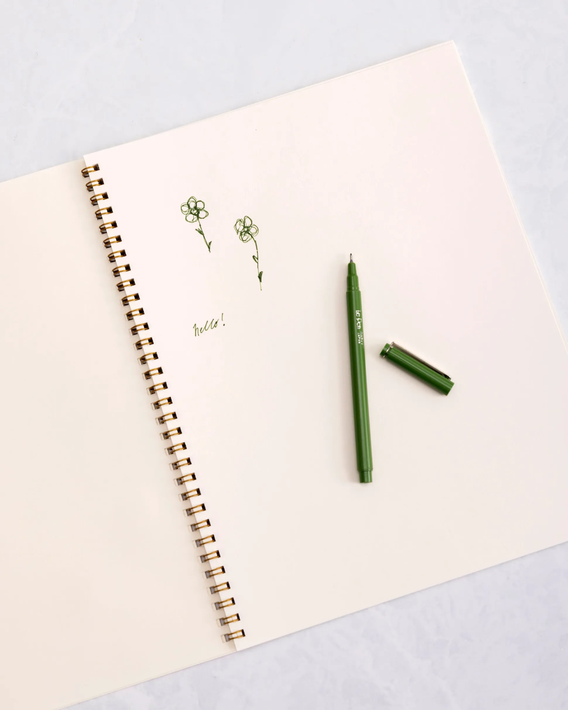 French Storybook Notebooks in Rooster
