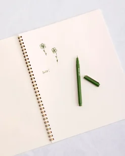 French Storybook Notebooks in Pink and Blue