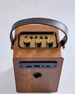Fuse Andle Bluetooth Speaker with Handle in Brown