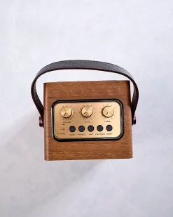 Fuse Andle Bluetooth Speaker with Handle in Brown