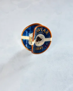 Hand Painted Caviar Claw Hair Clip in Blue