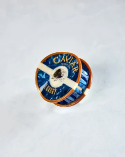Hand Painted Caviar Claw Hair Clip in Blue