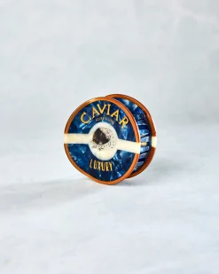 Hand Painted Caviar Claw Hair Clip in Blue