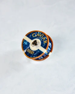 Hand Painted Caviar Claw Hair Clip in Blue