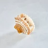 Hand- Painted Claw Hair Clip in Golden Seashell