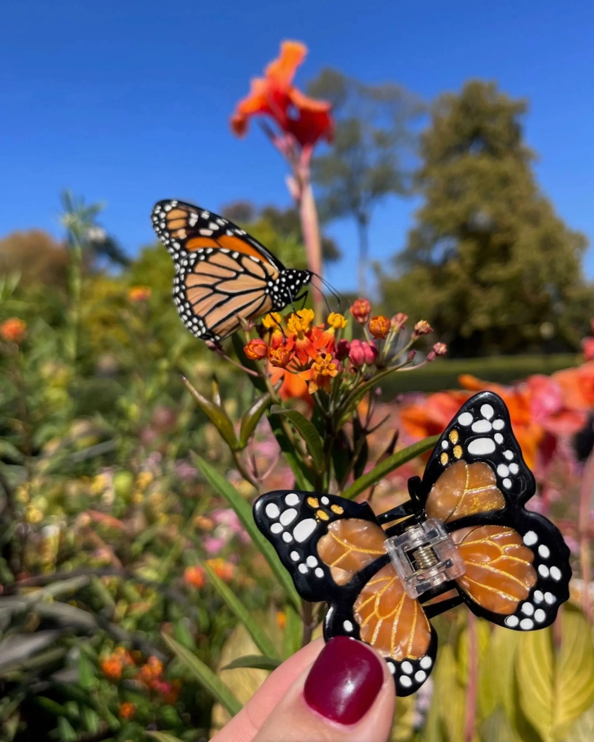 Hand Painted Mini Monarch Butterfly Claw Hair Clip in Orange Combo