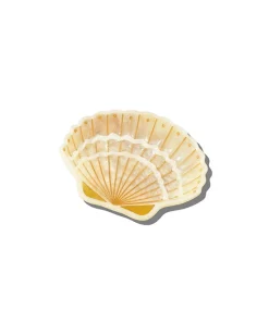 Hand Painted Seashell Trinket Tray in Ivory