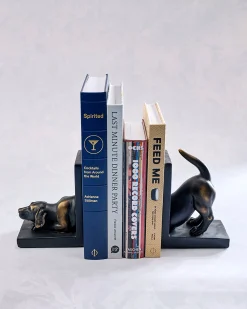 Labrador Dog Bookend Set in Bronze Patina