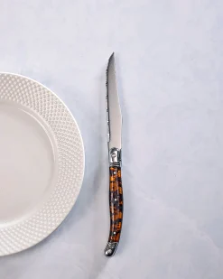 Laguiole Connoisseur 4- Piece Tortoise Steak Knife Set in Silver