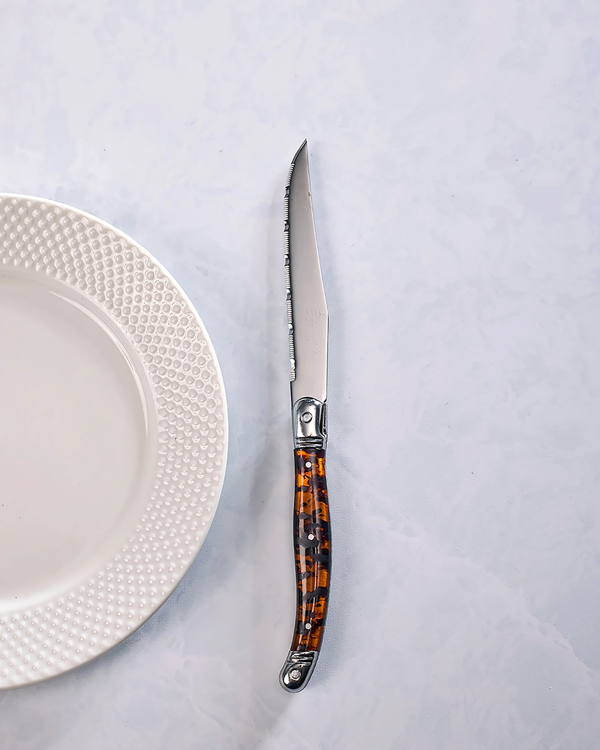 Laguiole Connoisseur 4- Piece Tortoise Steak Knife Set in Silver