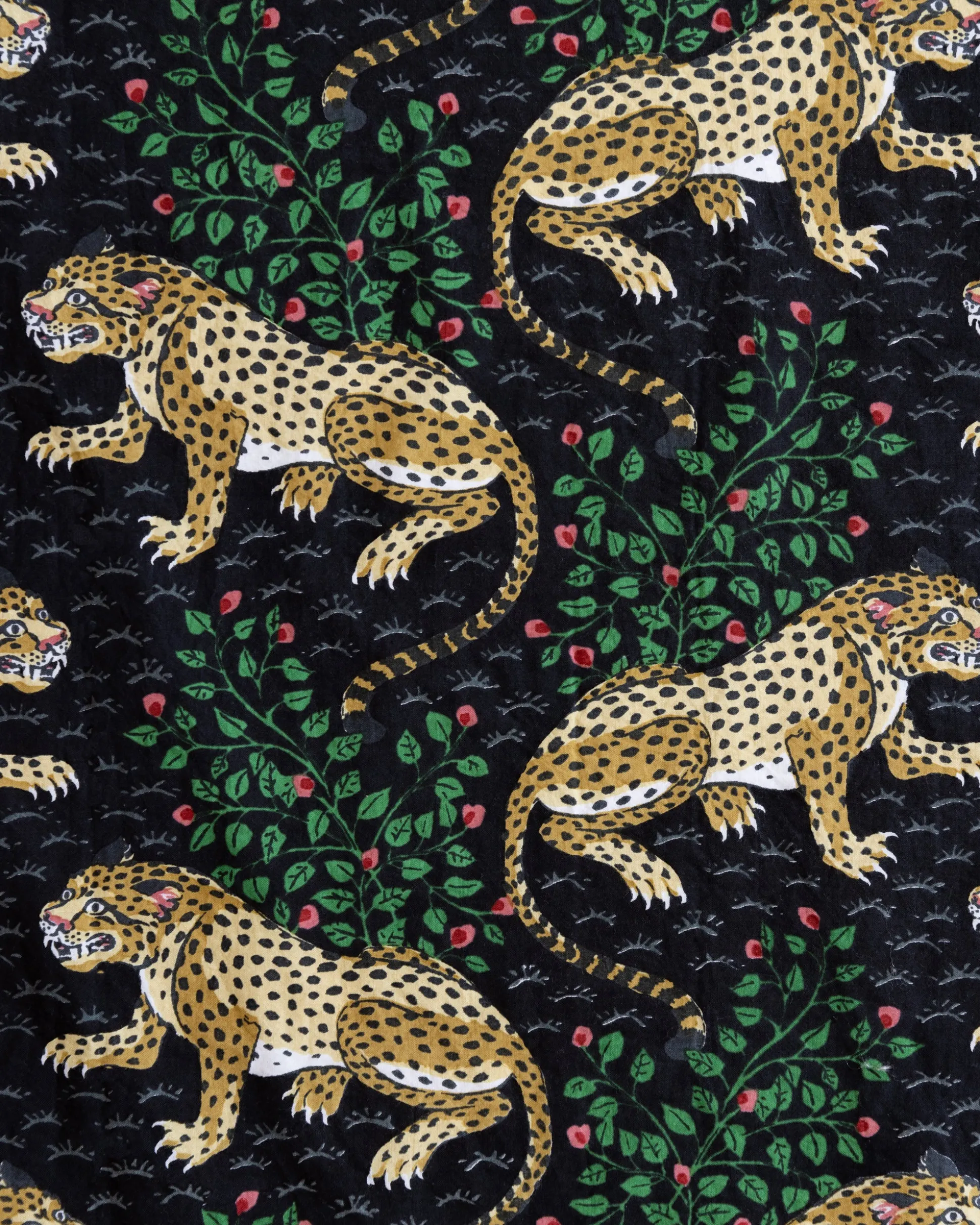 Leo Shirt Bundle in Bagheera & Champagne & Caviar