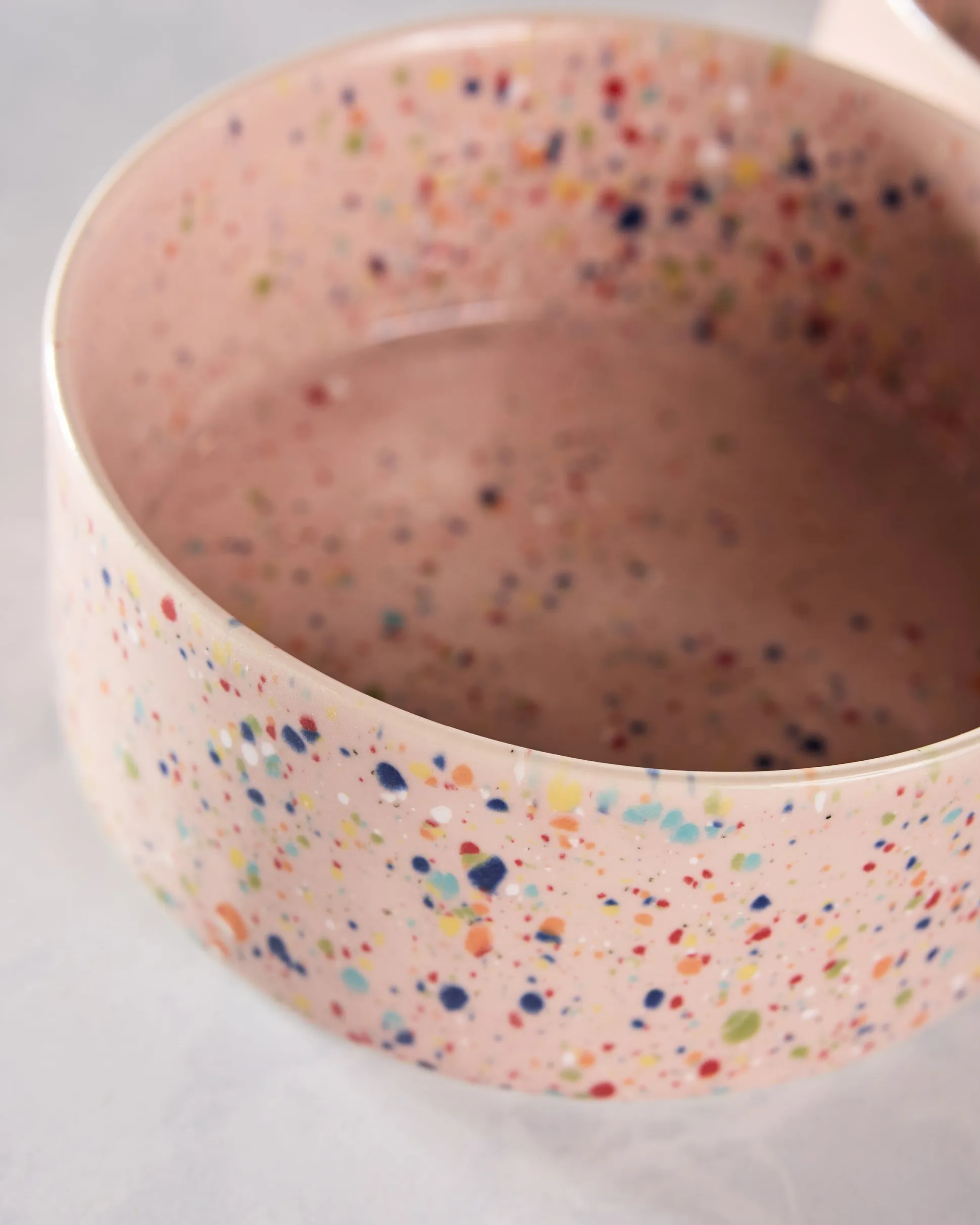 New Party Pet Bowl in Pink Speckle