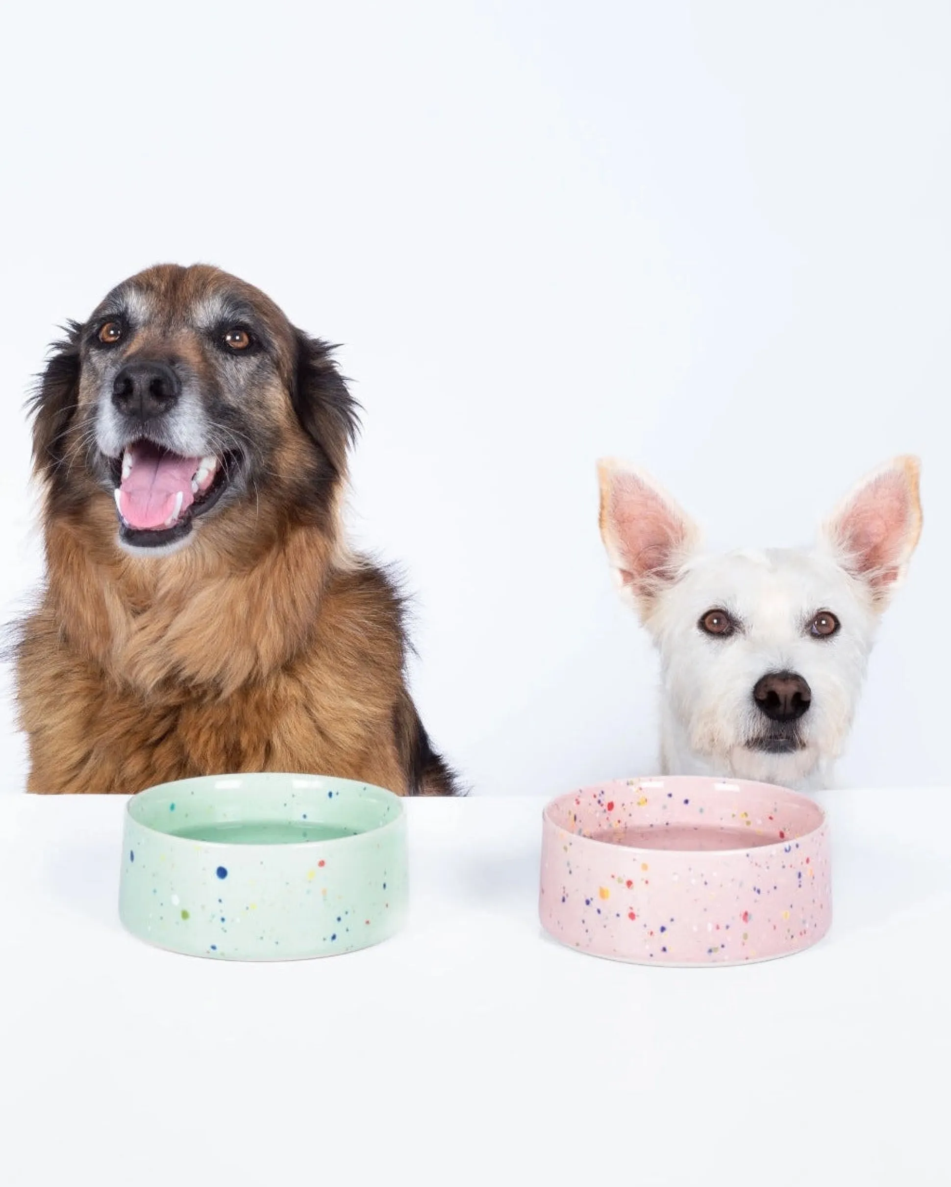 New Party Pet Bowl in Pink Speckle