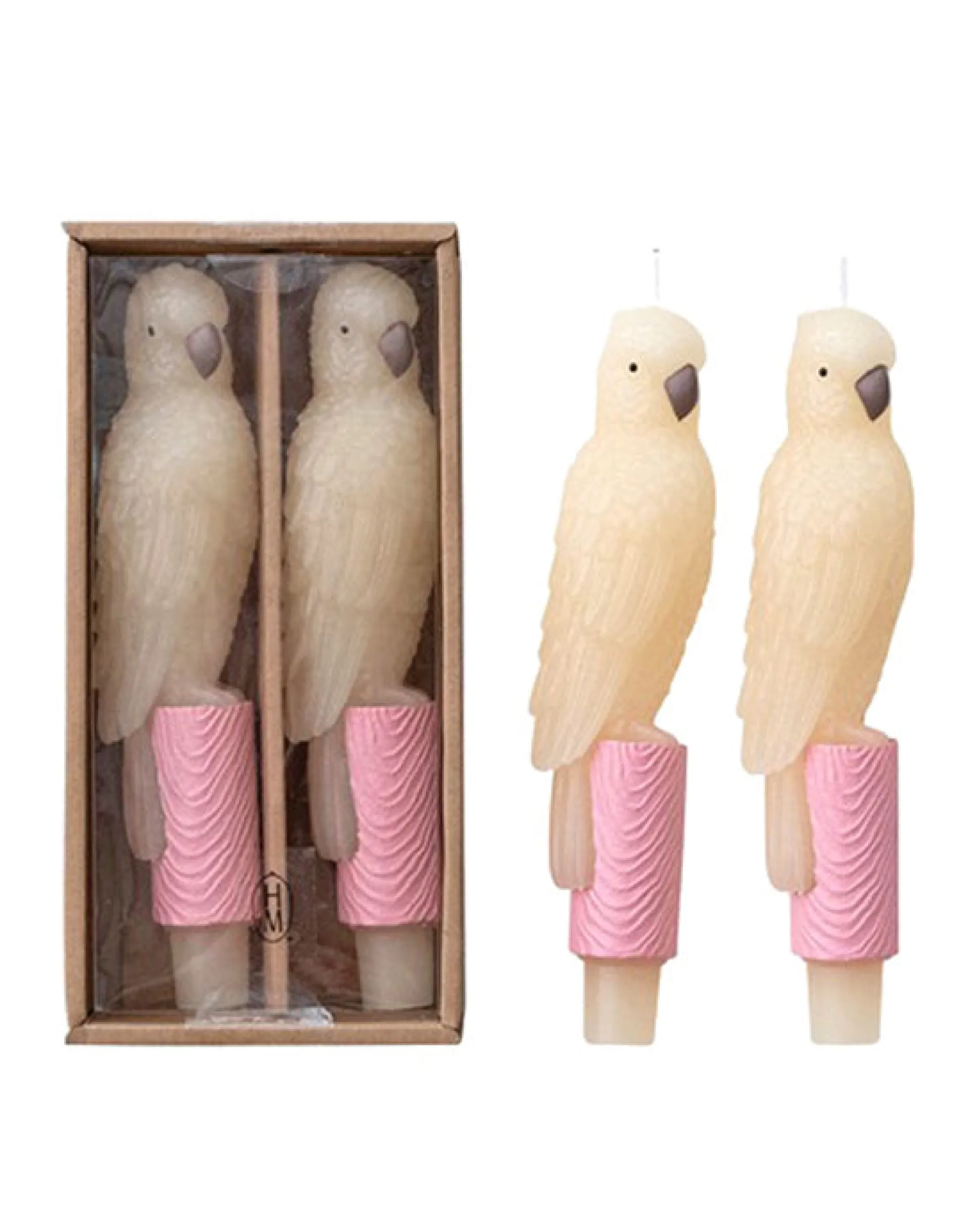 Parrot Taper Candle in Ivory Combo