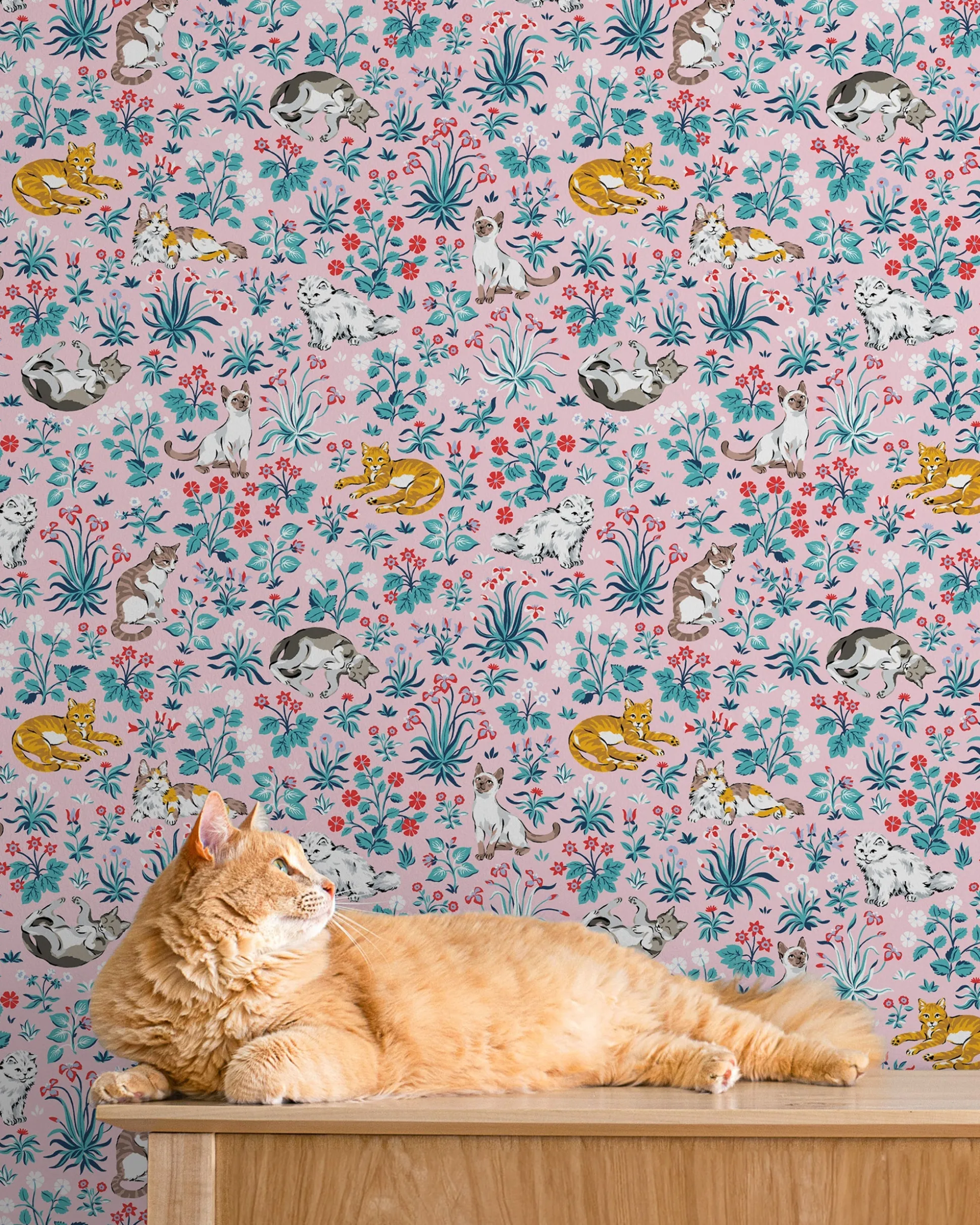 Peel & Stick Wallpaper in Must Love Cats
