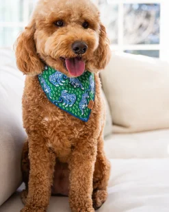 PF x The Foggy Dog Tiger Queen Short Set & Dog Bandana Bundle