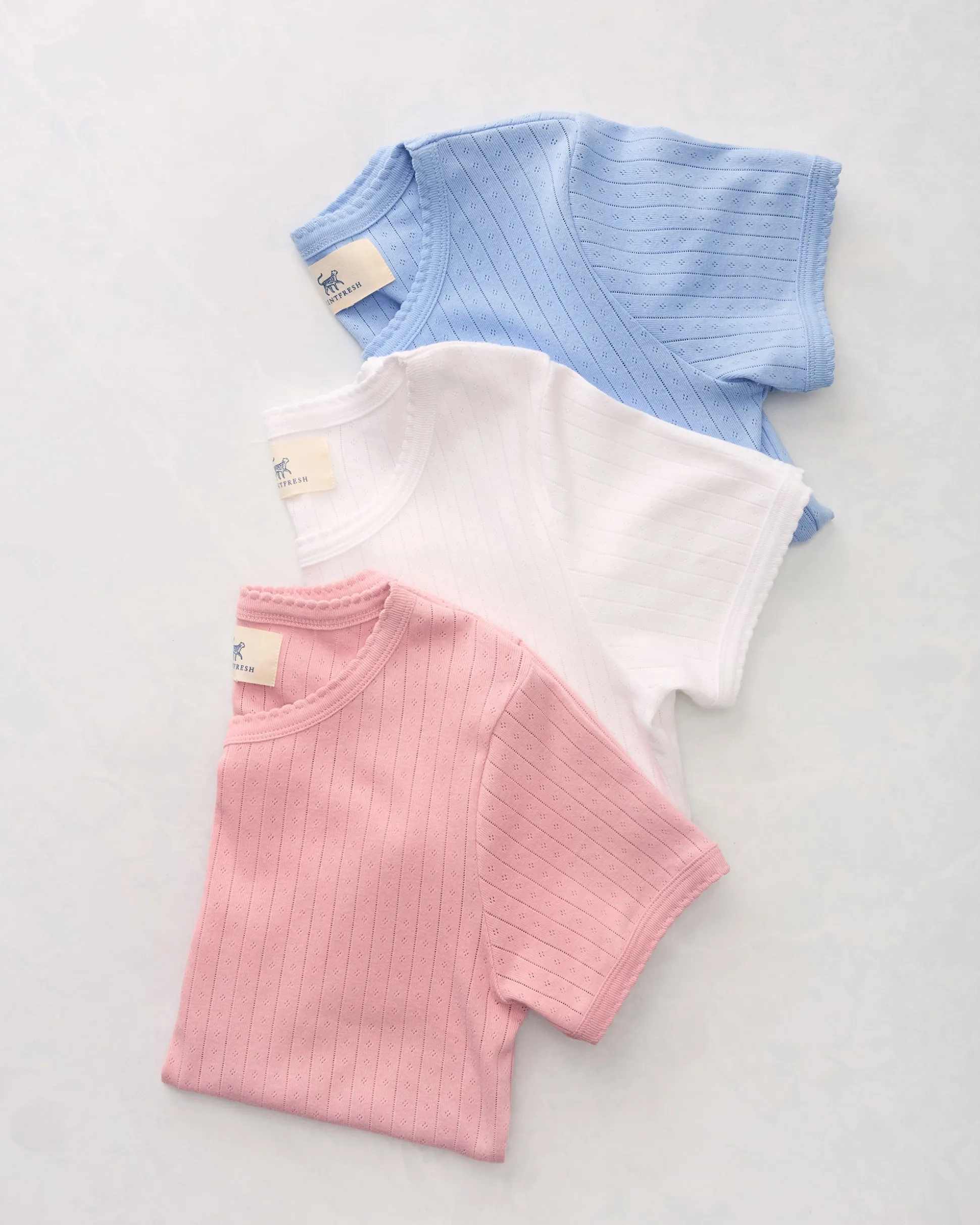 Piece Pointelle Tee Bundle in 3