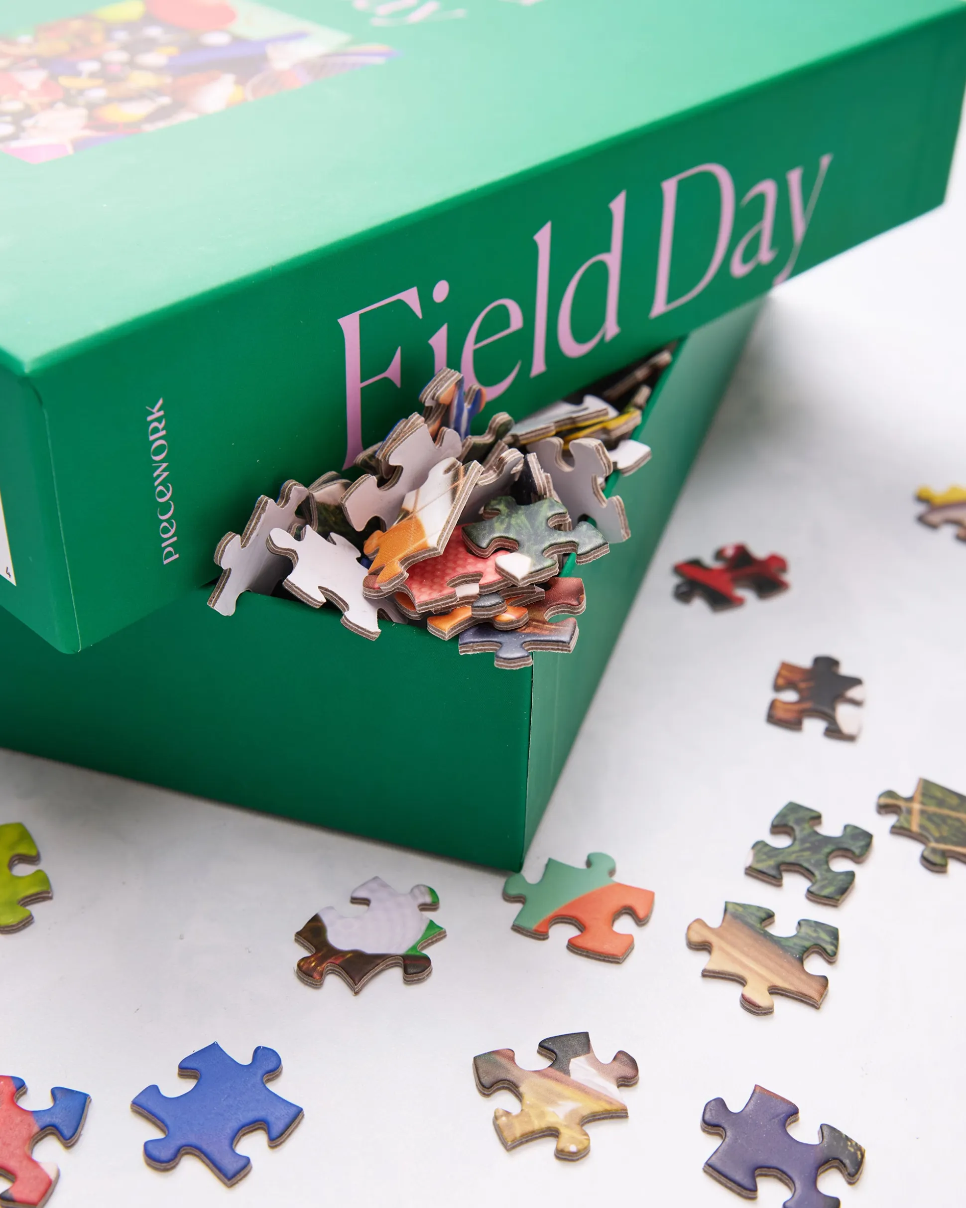 1000 Piece Puzzle in Field Day