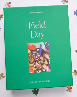 1000 Piece Puzzle in Field Day