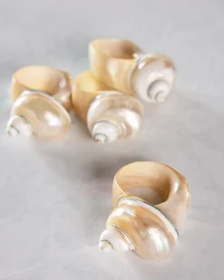 Seashell Napkin Rings Set of 4 in Shell