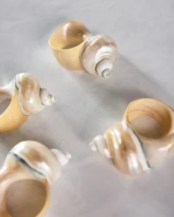 Seashell Napkin Rings Set of 4 in Shell
