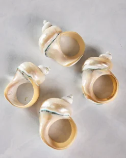 Seashell Napkin Rings Set of 4 in Shell
